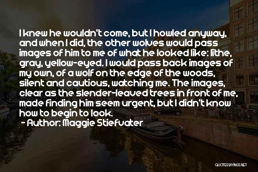 Me Images Quotes By Maggie Stiefvater