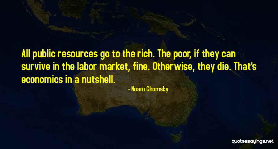 Me In A Nutshell Quotes By Noam Chomsky Me In A Nutshell Quotes By Noam Chomsky