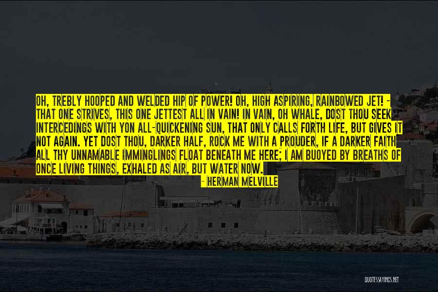 Me In Life Quotes By Herman Melville Me In Life Quotes By Herman Melville