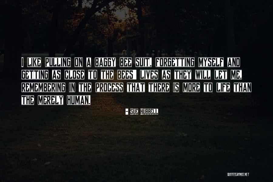 Me In Life Quotes By Sue Hubbell Me In Life Quotes By Sue Hubbell