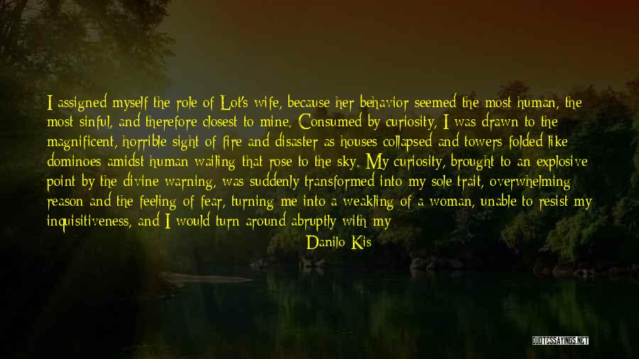 Me Mine Myself Quotes By Danilo Kis Me Mine Myself Quotes By Danilo Kis