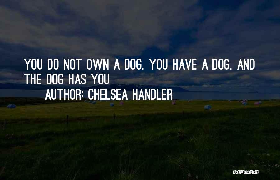 Me N My Dog Quotes By Chelsea Handler