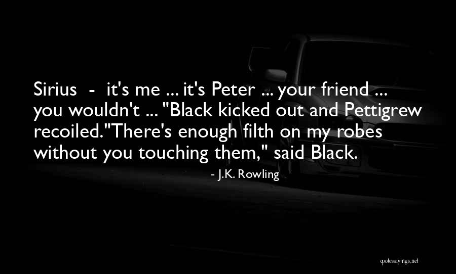 Me Without You Friend Quotes By J.K. Rowling