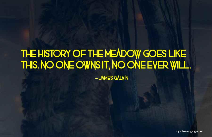 Meadow James Galvin Quotes By James Galvin Meadow James Galvin Quotes By James Galvin
