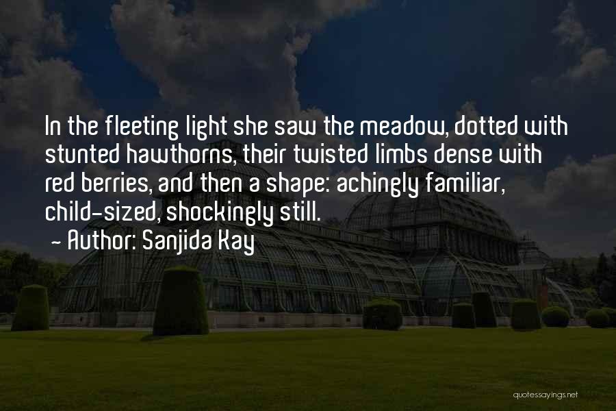 Meadow Quotes By Sanjida Kay