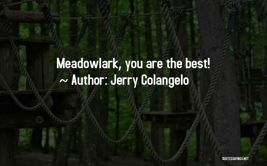 Meadowlark Quotes By Jerry Colangelo