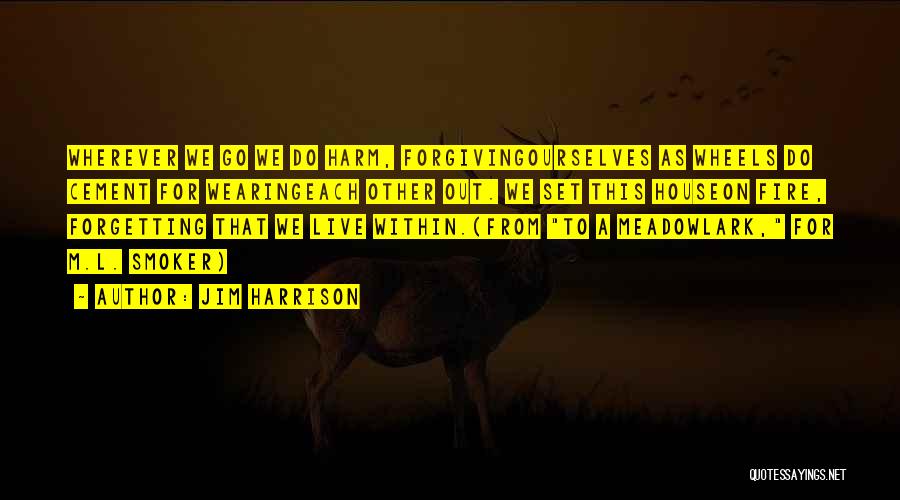 Meadowlark Quotes By Jim Harrison