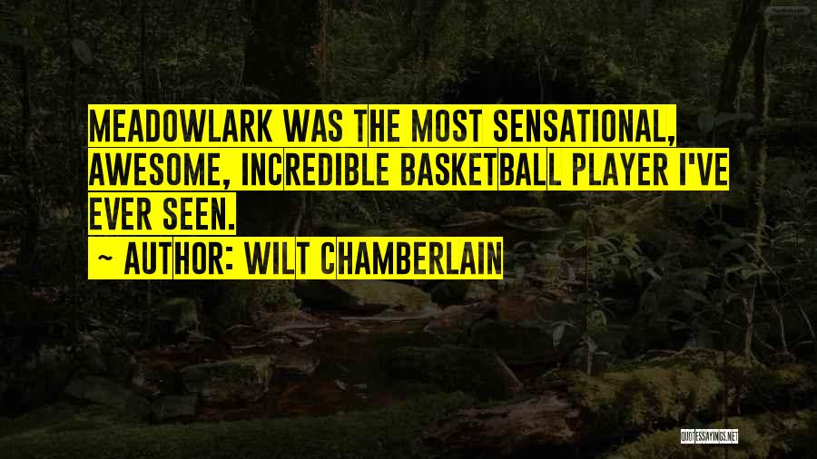 Meadowlark Quotes By Wilt Chamberlain