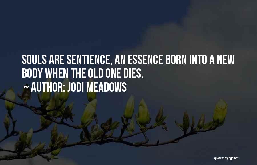 Meadows Quotes By Jodi Meadows