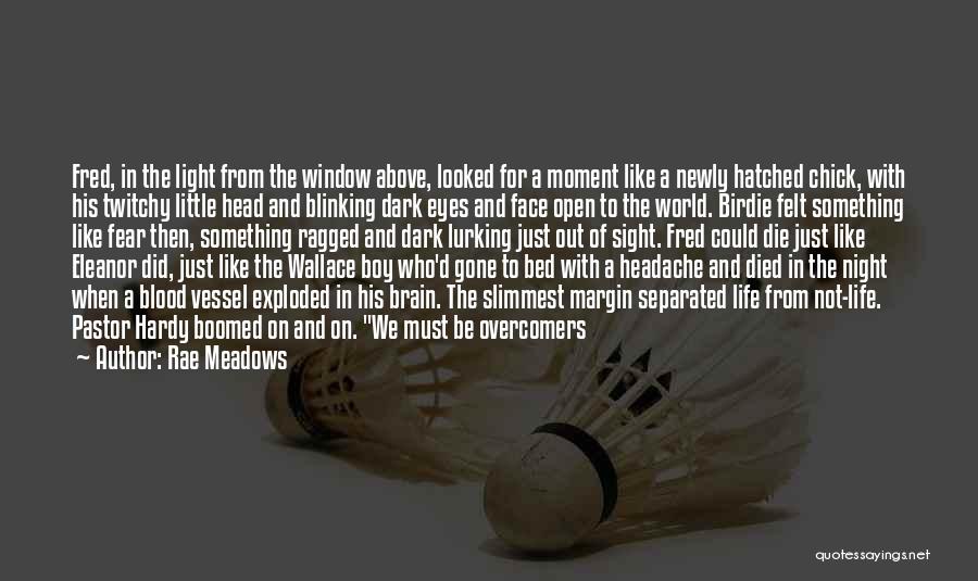 Meadows Quotes By Rae Meadows