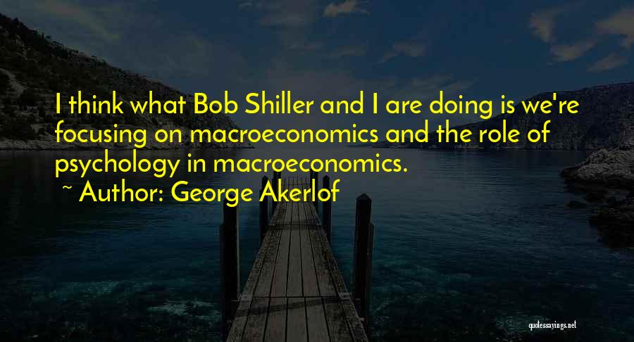 Meaghann Shipe Quotes By George Akerlof