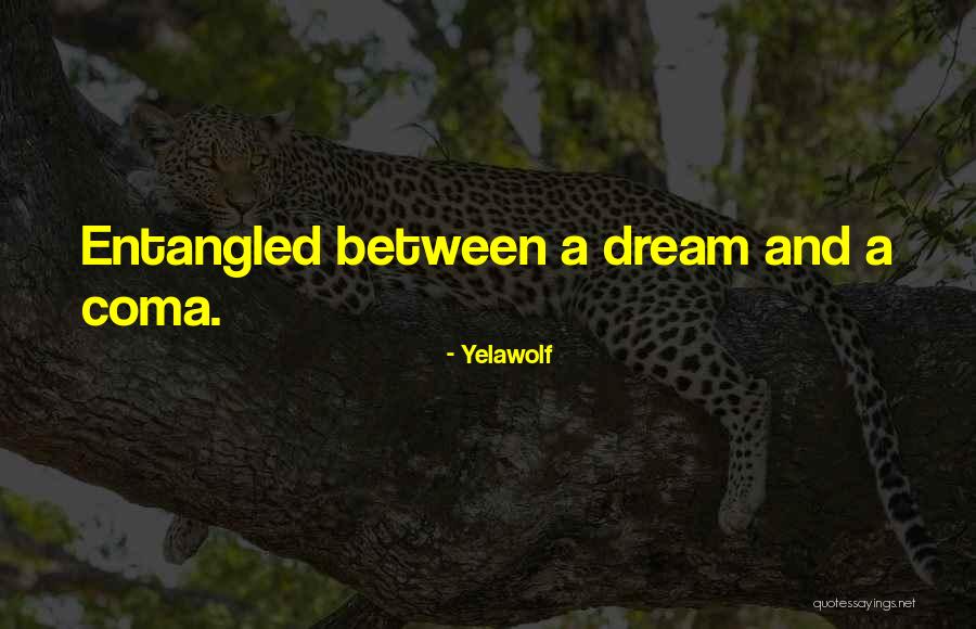Mealies Quotes By Yelawolf Mealies Quotes By Yelawolf