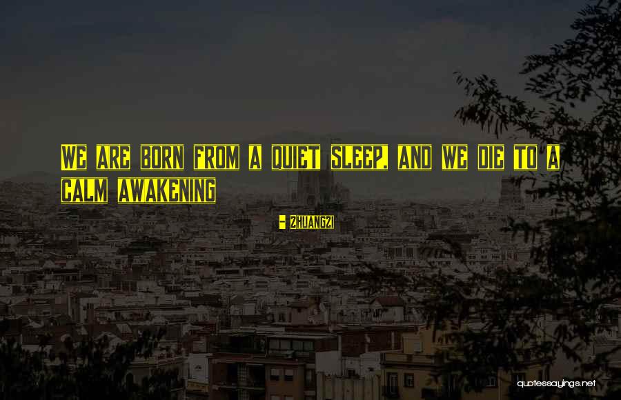 Mealing Planning Quotes By Zhuangzi Mealing Planning Quotes By Zhuangzi