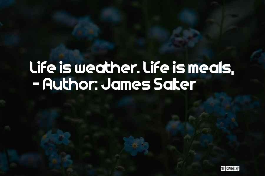 Meals Quotes By James Salter