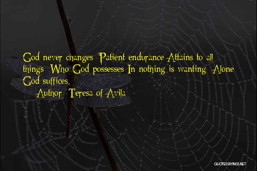 Mealybugs Quotes By Teresa Of Avila