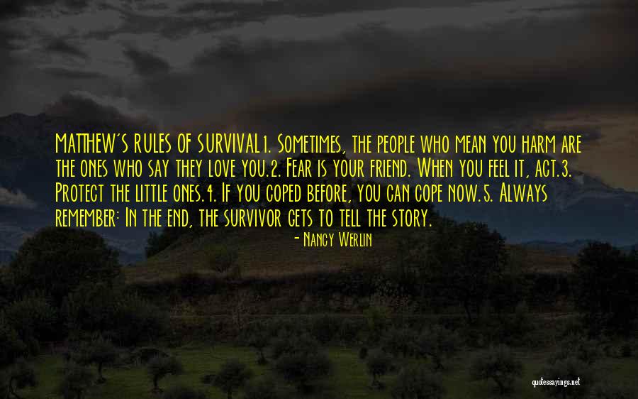 Mean 3 Quotes By Nancy Werlin Mean 3 Quotes By Nancy Werlin