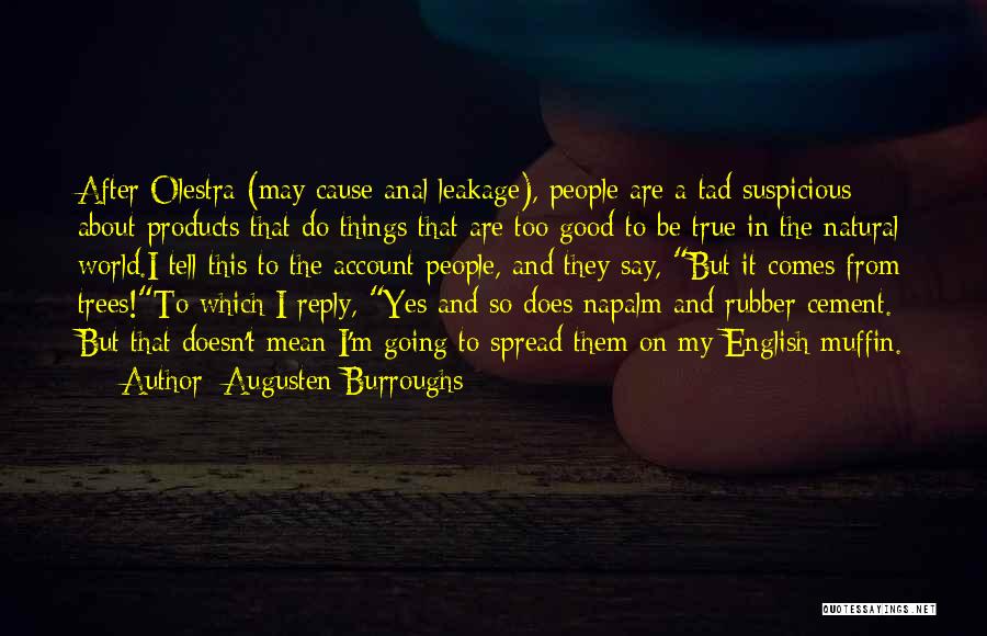 Mean But Good Quotes By Augusten Burroughs