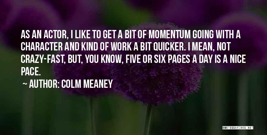 Mean But Nice Quotes By Colm Meaney