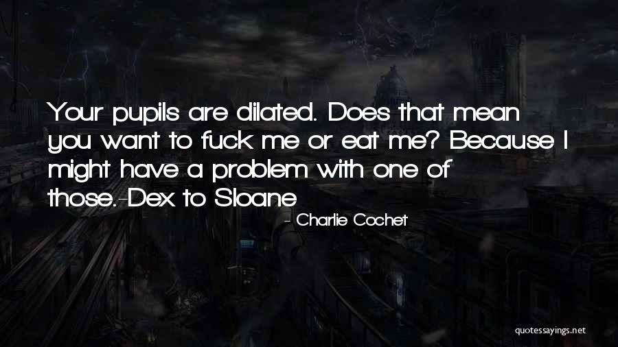 Mean Funny Quotes By Charlie Cochet Mean Funny Quotes By Charlie Cochet