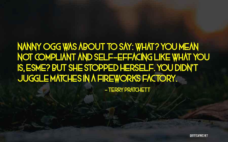 Mean Funny Quotes By Terry Pratchett Mean Funny Quotes By Terry Pratchett