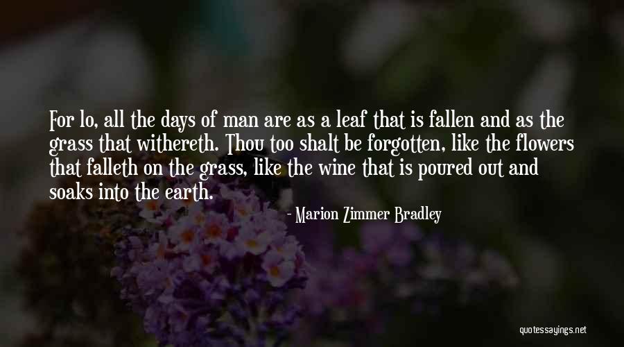 Mean Girls Cady Quotes By Marion Zimmer Bradley Mean Girls Cady Quotes By Marion Zimmer Bradley