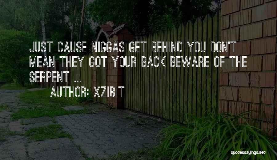 Mean Of Quotes By Xzibit