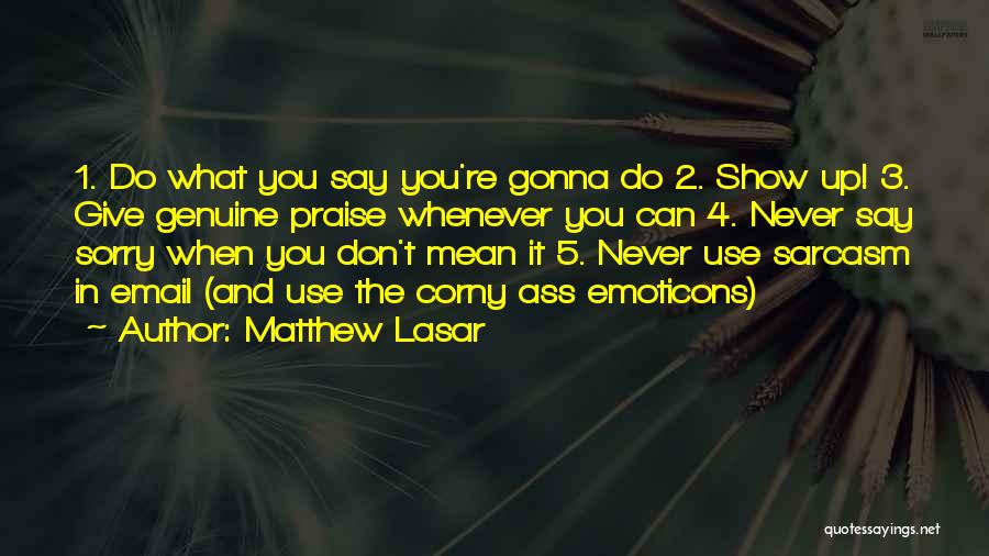Mean Sarcasm Quotes By Matthew Lasar