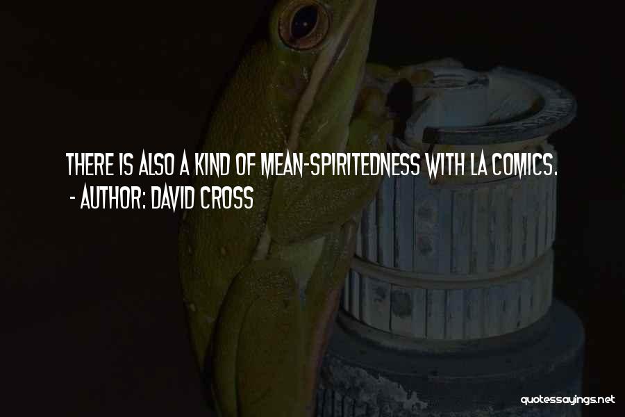 Mean Spiritedness Quotes By David Cross