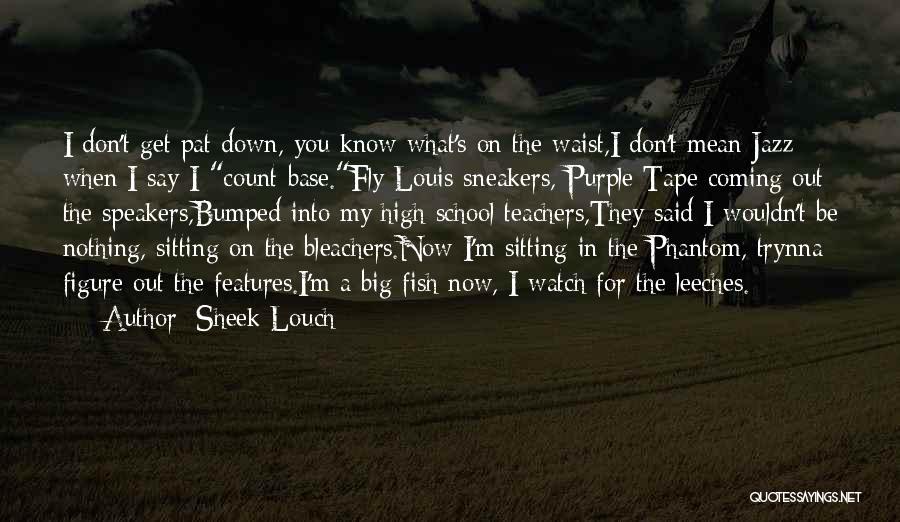 Mean Teachers Quotes By Sheek Louch