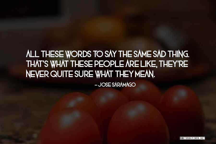 Mean The Same Thing Quotes By Jose Saramago Mean The Same Thing Quotes By Jose Saramago