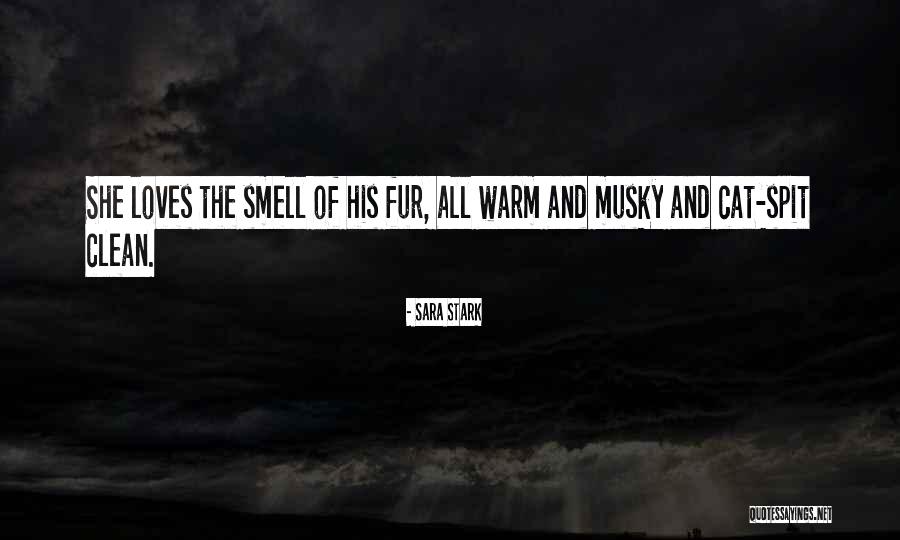 Meanders Quotes By Sara Stark Meanders Quotes By Sara Stark