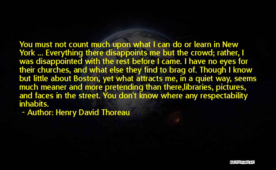 Meaner Than Quotes By Henry David Thoreau