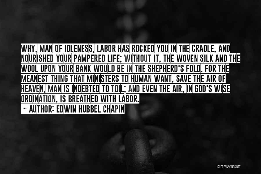 Meanest Quotes By Edwin Hubbel Chapin