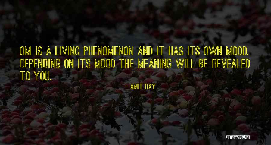 Meaning And Life Quotes By Amit Ray Meaning And Life Quotes By Amit Ray