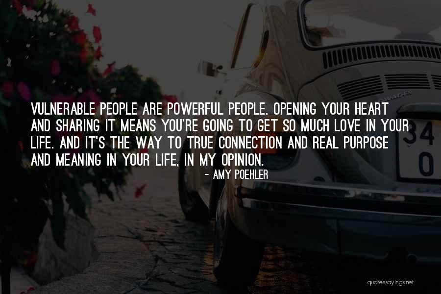 Meaning And Purpose In Life Quotes By Amy Poehler