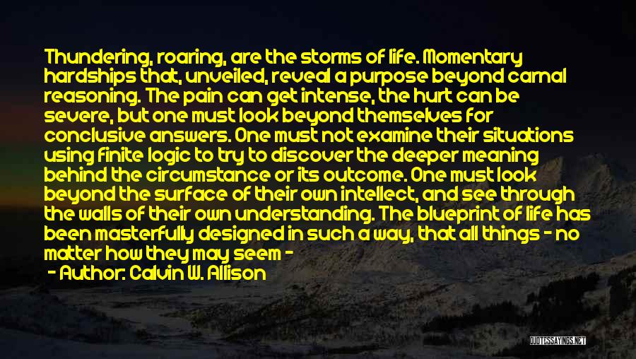 Meaning And Purpose In Life Quotes By Calvin W. Allison