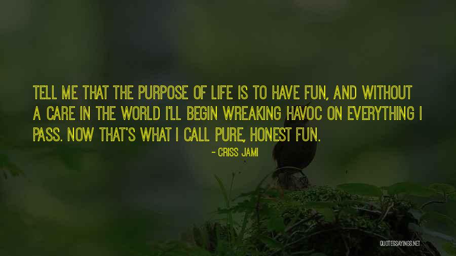 Meaning And Purpose In Life Quotes By Criss Jami