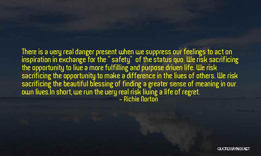 Meaning And Purpose In Life Quotes By Richie Norton