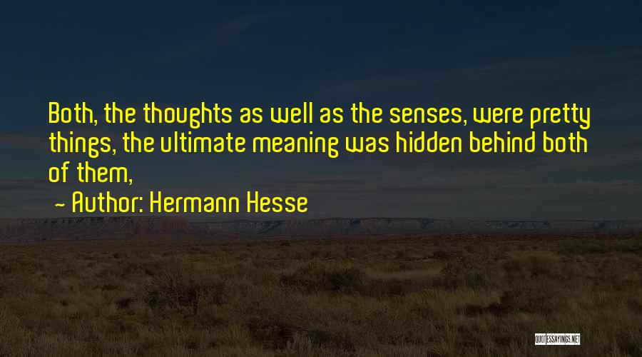 Meaning Behind The Quotes By Hermann Hesse