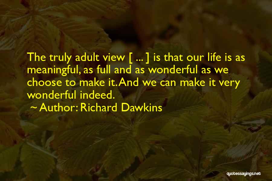 Meaning Life Meaningful Quotes By Richard Dawkins