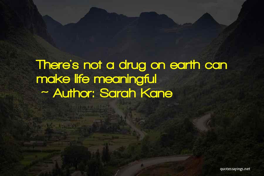 Meaning Life Meaningful Quotes By Sarah Kane