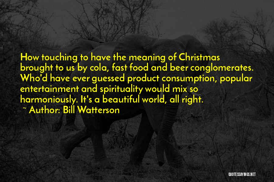 Meaning Of Christmas Quotes By Bill Watterson