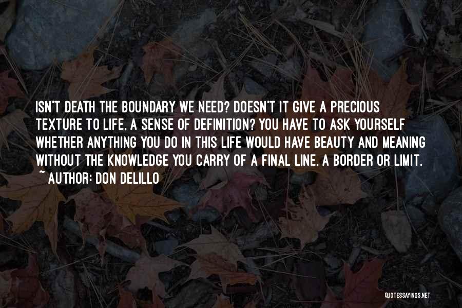 Meaning Of Life And Death Quotes By Don DeLillo