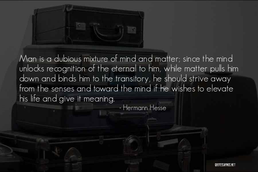 Meaning Of Life Philosophy Quotes By Hermann Hesse Meaning Of Life Philosophy Quotes By Hermann Hesse