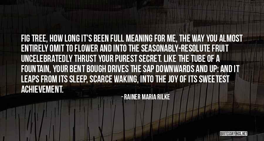 Meaning Of Sleep Quotes By Rainer Maria Rilke Meaning Of Sleep Quotes By Rainer Maria Rilke