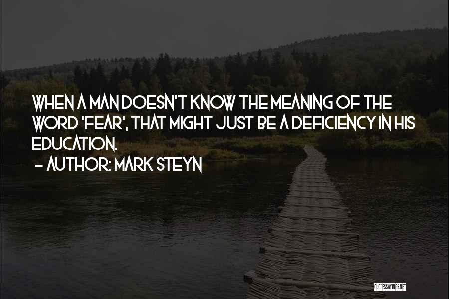 Meaning Of Success Quotes By Mark Steyn