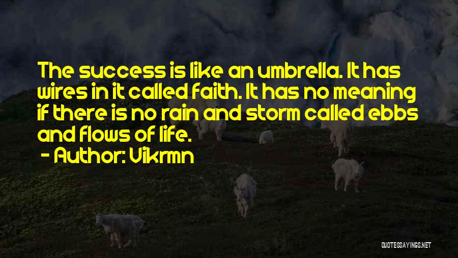 Meaning Of Success Quotes By Vikrmn