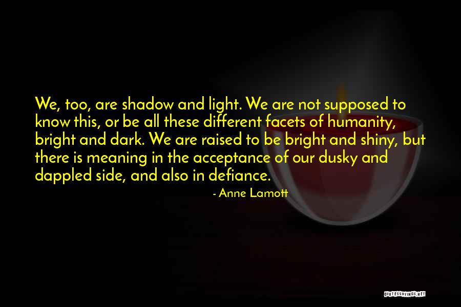 Meaning Of The Far Side Quotes By Anne Lamott Meaning Of The Far Side Quotes By Anne Lamott