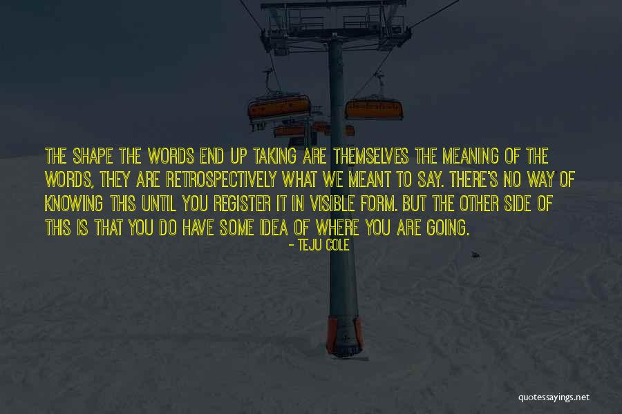 Meaning Of The Far Side Quotes By Teju Cole Meaning Of The Far Side Quotes By Teju Cole