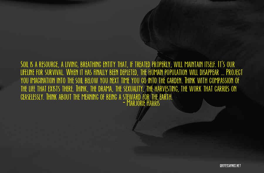 Meaning Of Work Quotes By Marjorie Harris Meaning Of Work Quotes By Marjorie Harris